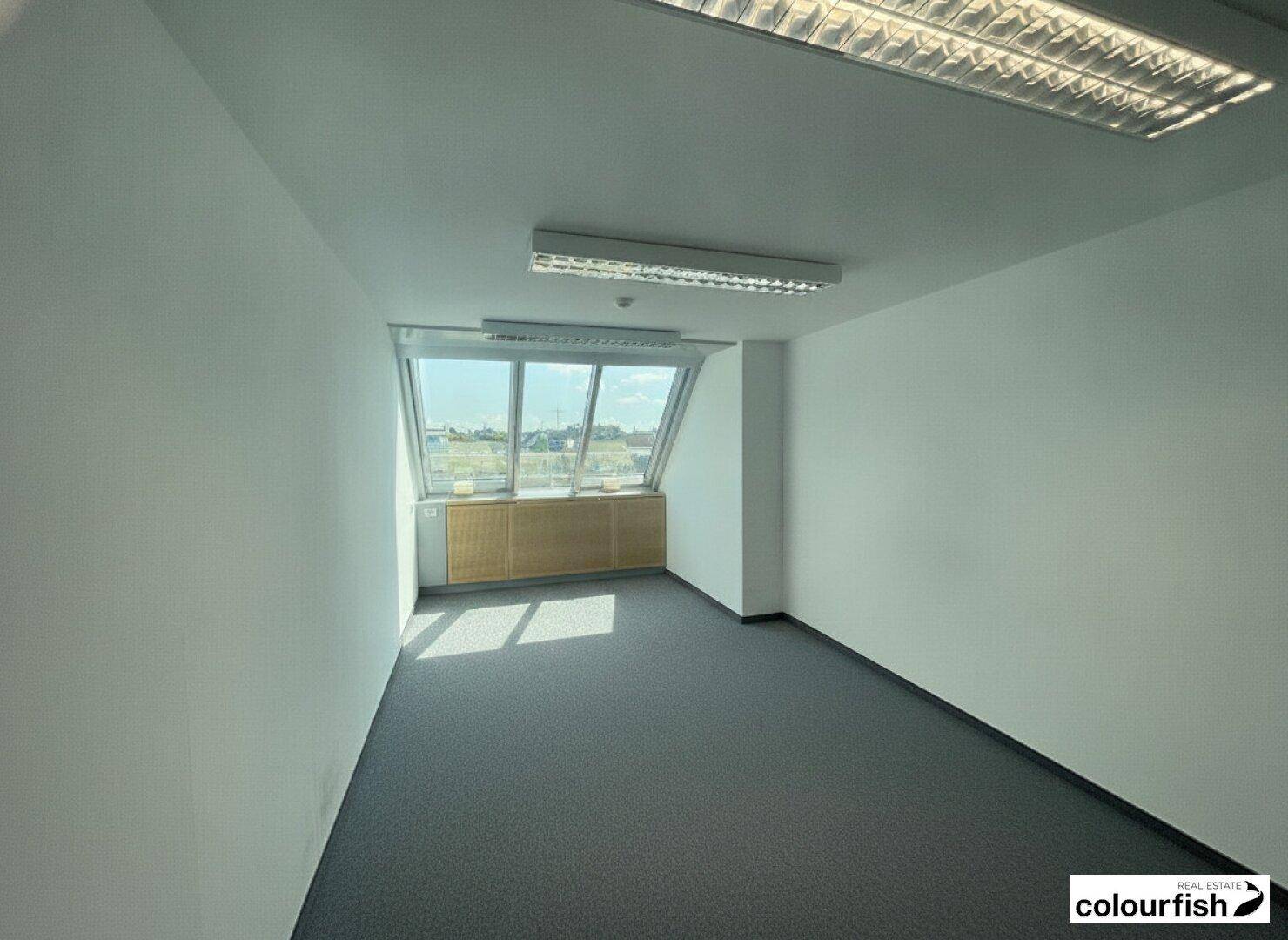 Leeres Büro mit schrägem Fensterbereich, grauem Teppich und Deckenleuchten, ideal für Arbeitsplätze.