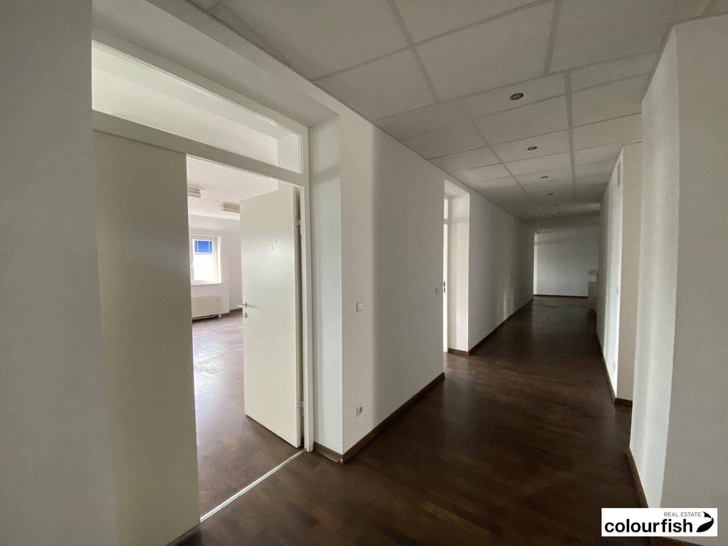 Langer, heller Flur mit dunklem Holzfußboden, weißen Wänden und Türen zu angrenzenden Räumen.