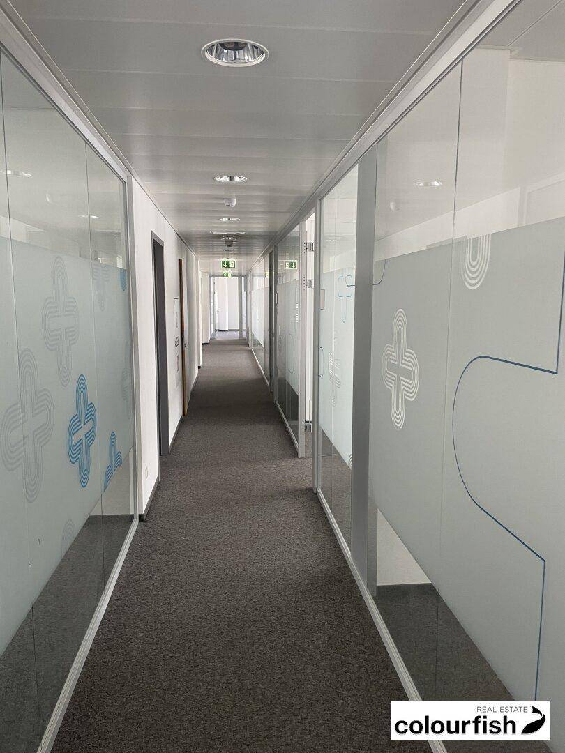 Langer Bürogang mit modernen Glaswänden und Teppichboden, der zu verschiedenen Büroräumen führt.