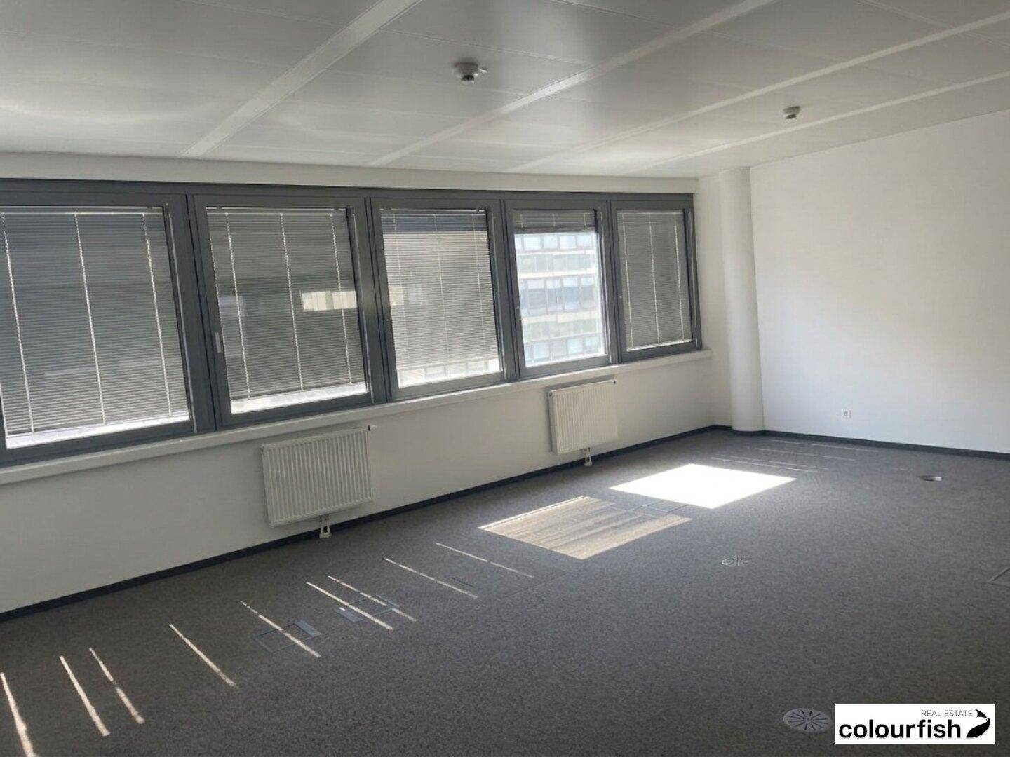 Geräumiges Büro mit Teppichboden und Jalousien an den großen Fenstern, die viel Tageslicht hereinlassen.
