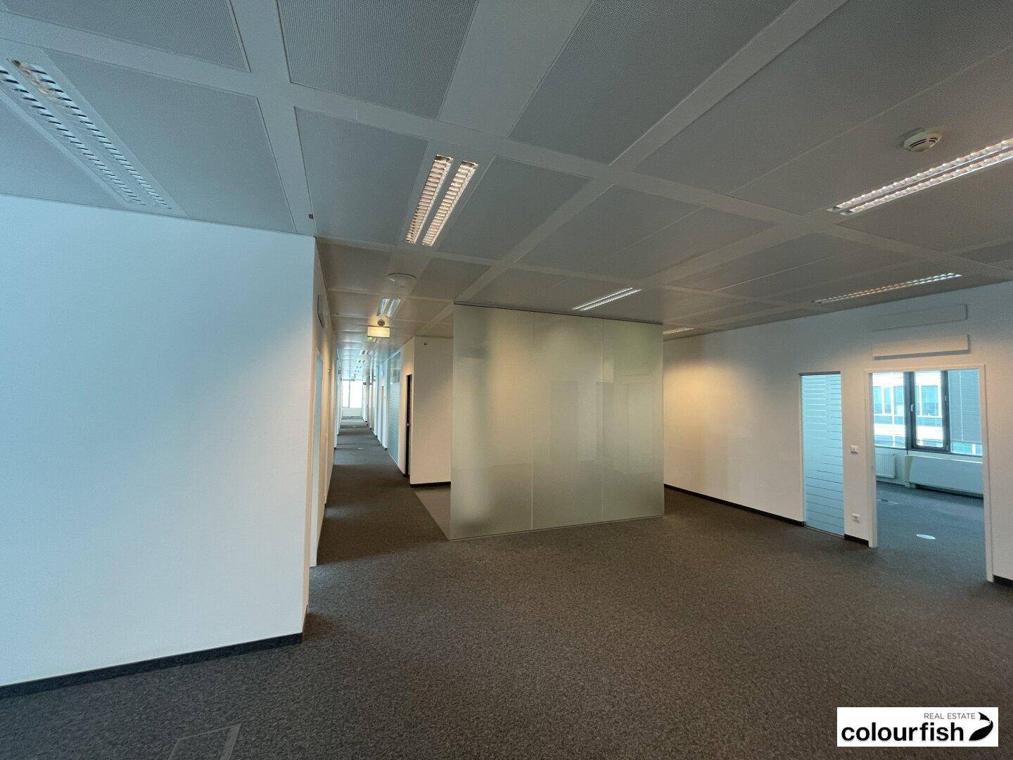 Geräumiges, leeres Büro mit Teppichboden, Systemdecke und modernen Glasabtrennungen, bereit zur individuellen Gestaltung.