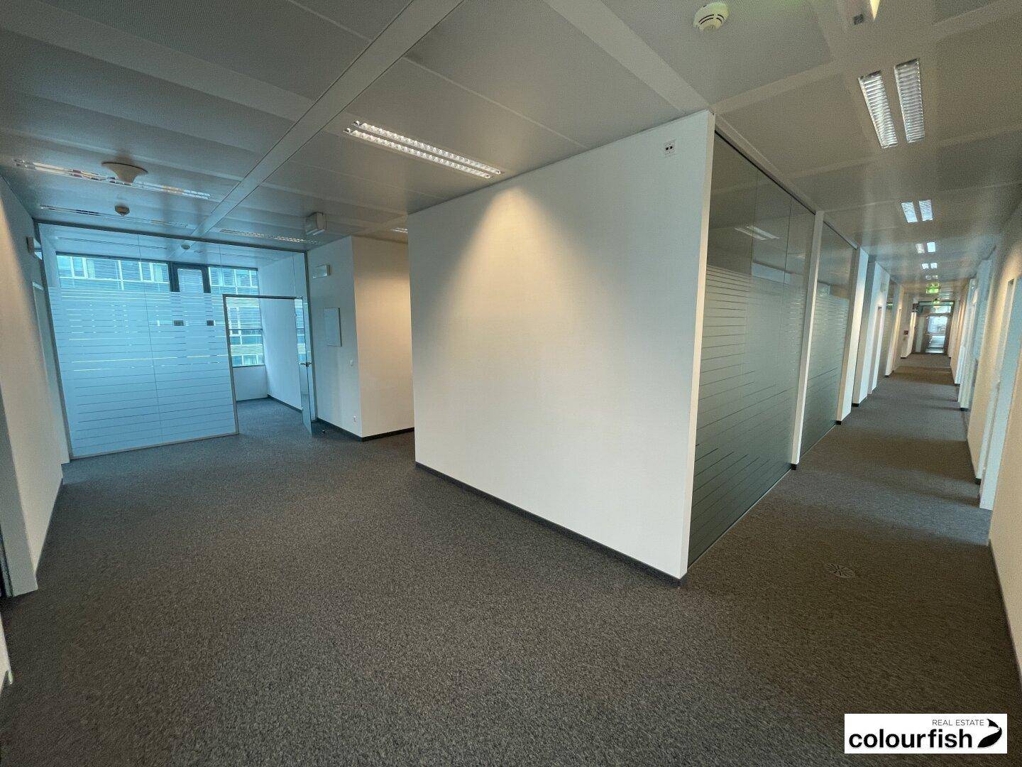 Langer Bürogang mit Teppichboden und modernen Glaswänden, die zu den einzelnen Büros führen.