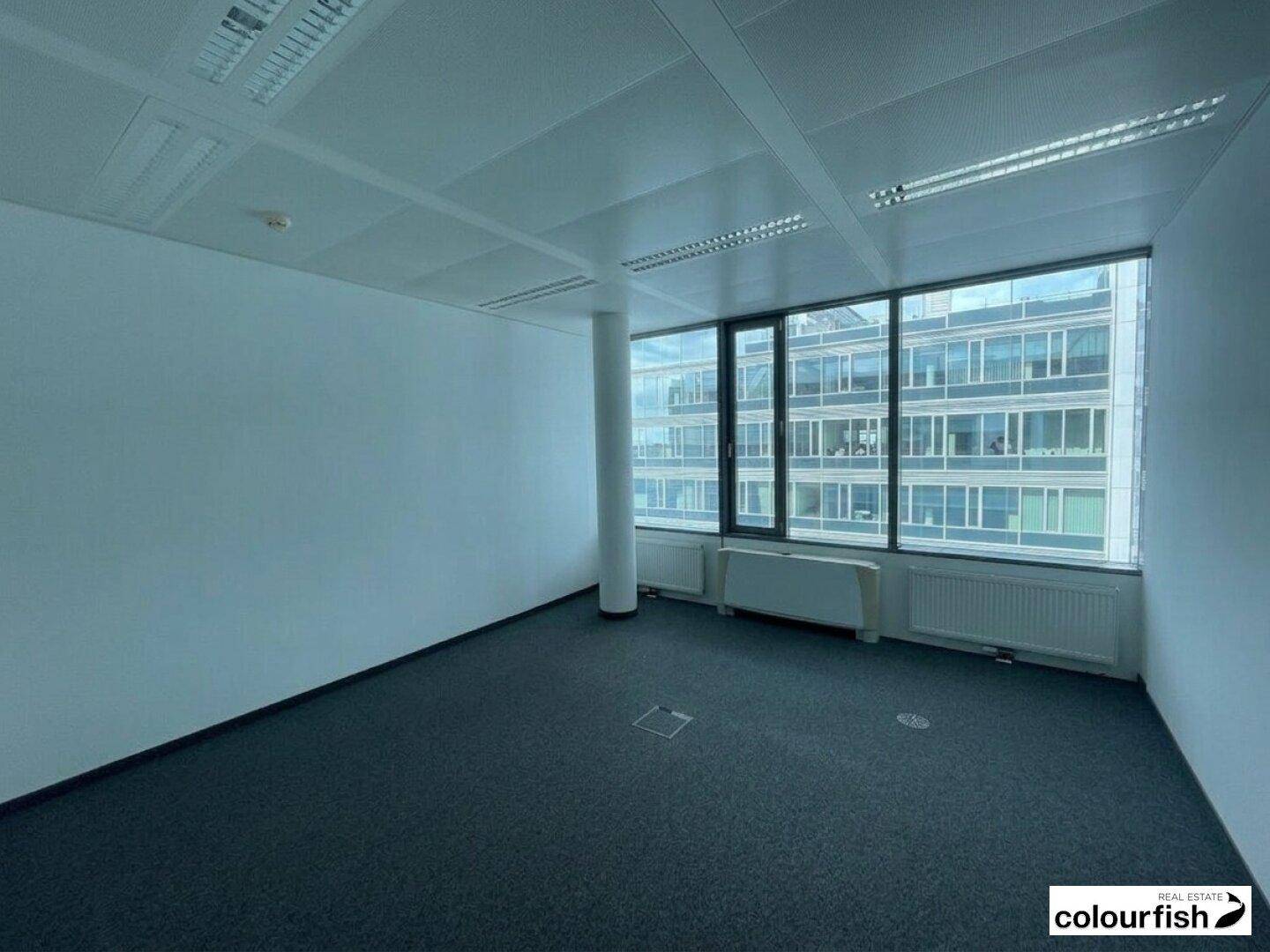 Helles Büro mit großen Fenstern, die einen Blick auf umliegende Gebäude bieten, und Teppichboden.