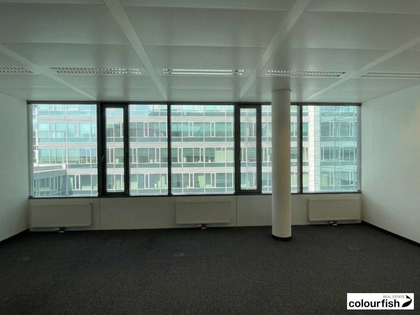 Geräumiges Büro mit einer kompletten Fensterfront, die viel Licht und Ausblick bietet.