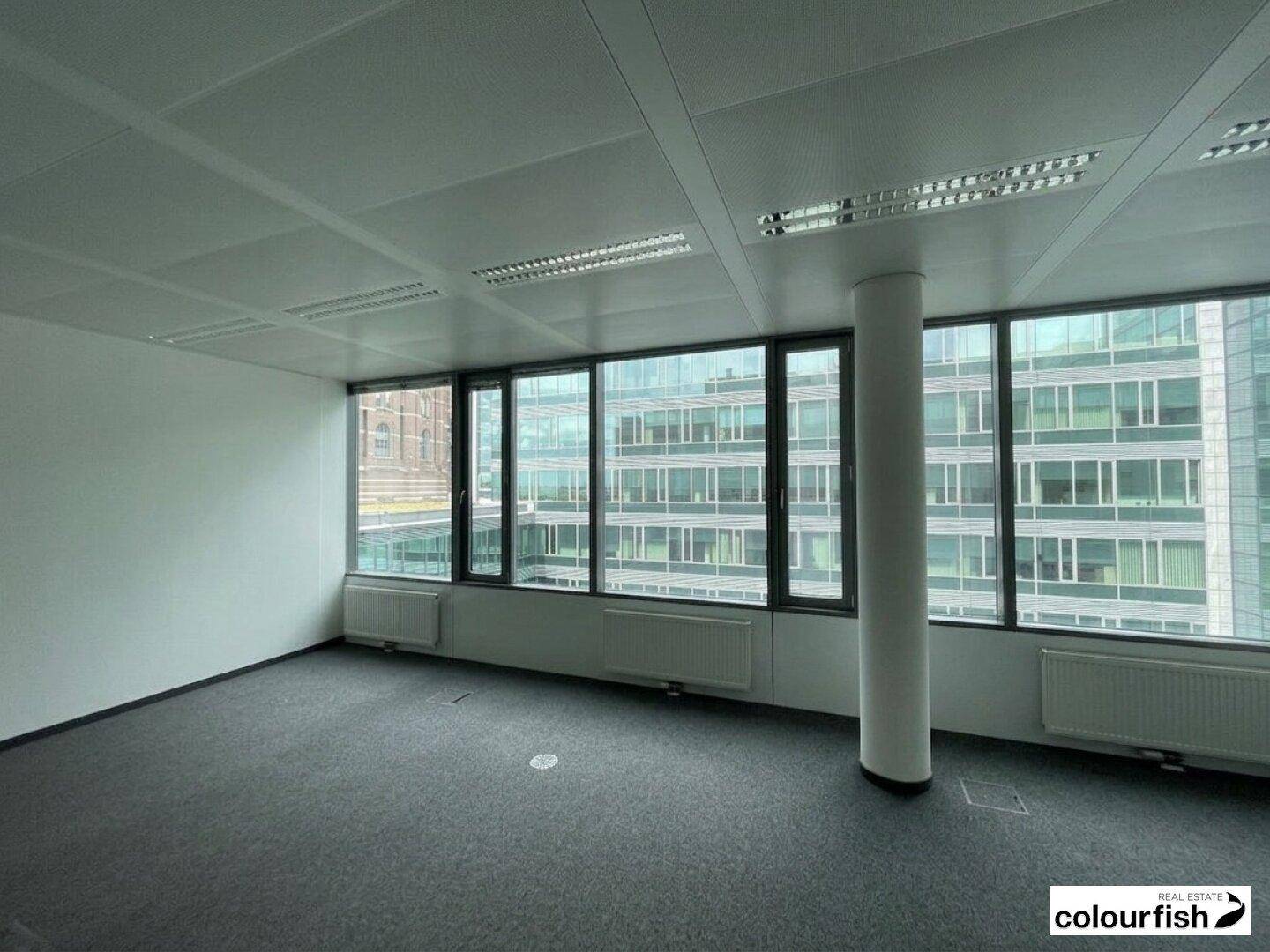 Helles Büro mit weitem Ausblick durch die großen Fenster und Teppichboden.