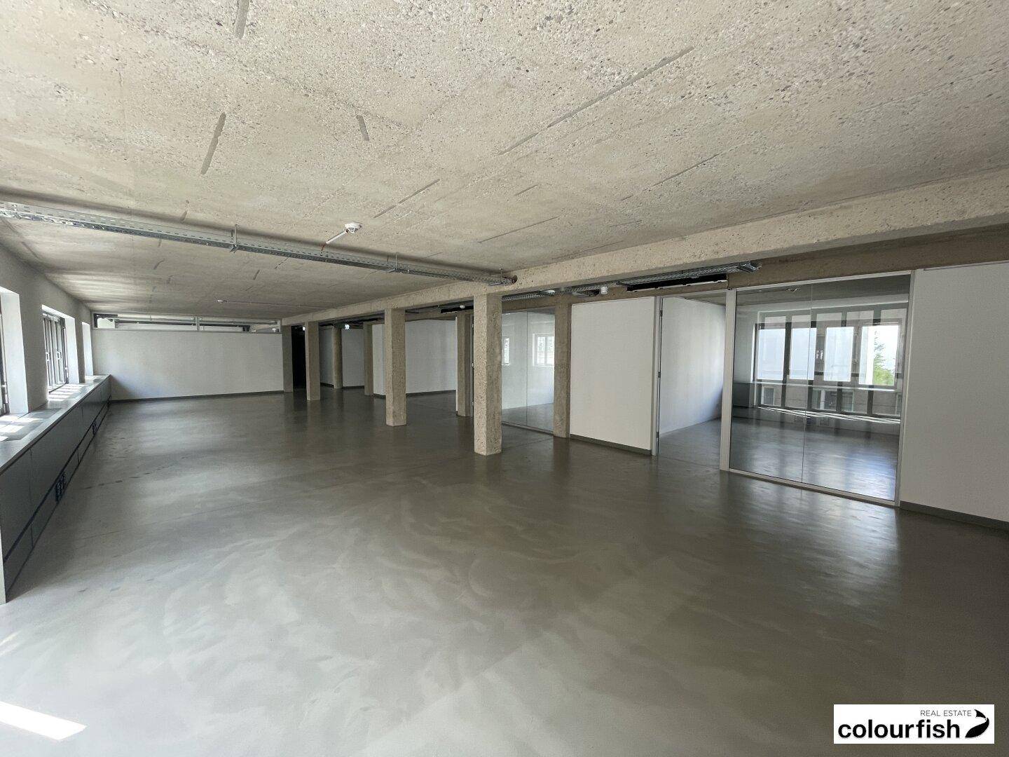 Geräumiger Büroraum mit flexiblen Glaswänden und industriellem Charme durch Sichtbeton.