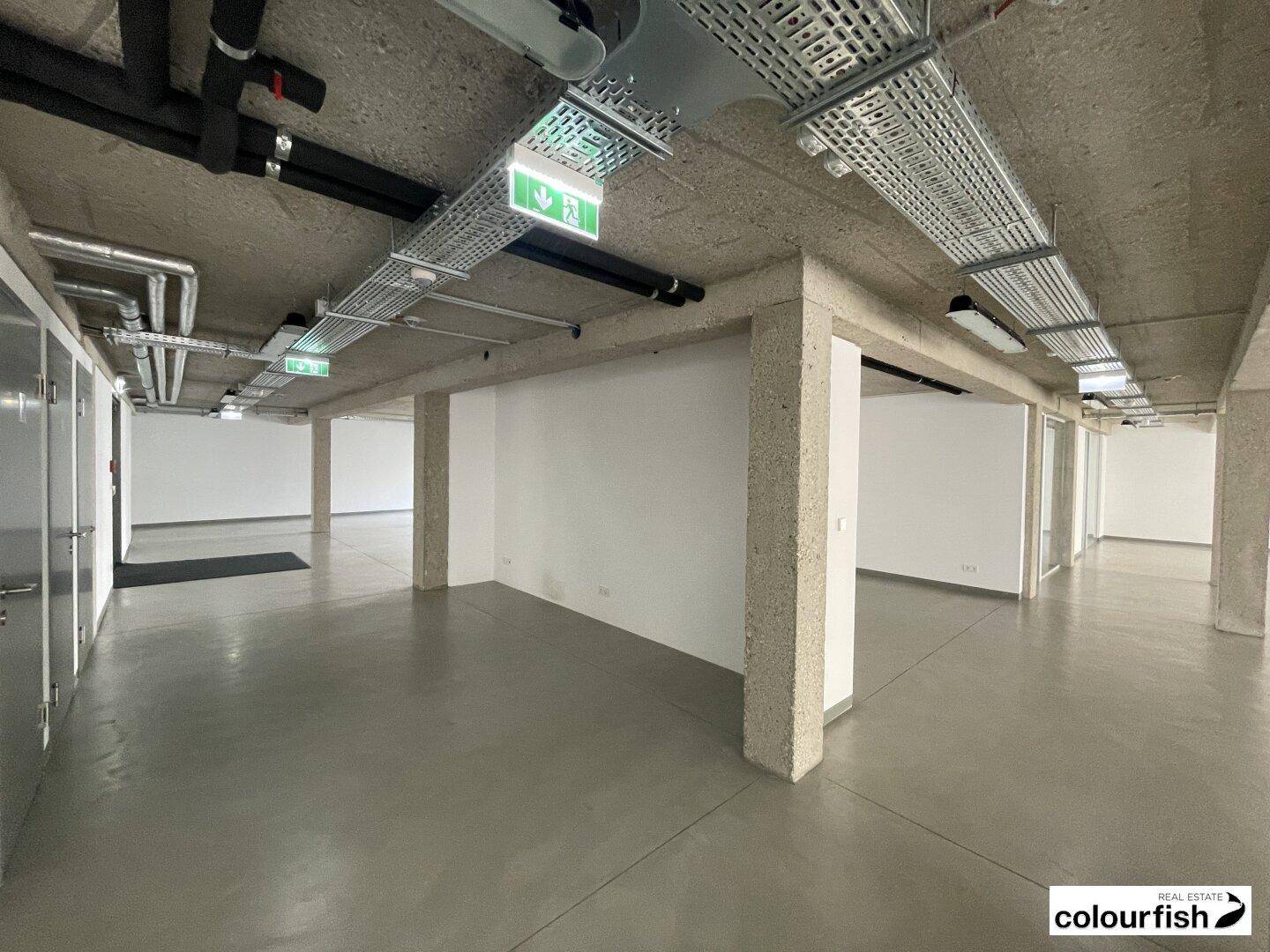 Moderner Büroraum mit sichtbaren Installationen an der Decke und Betonstützen.