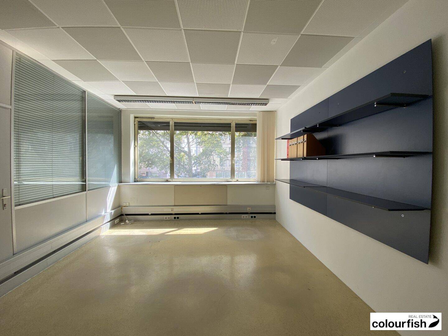 Geräumiges Büro mit großen Fenstern, Jalousien und einer Wandregalinstallation.