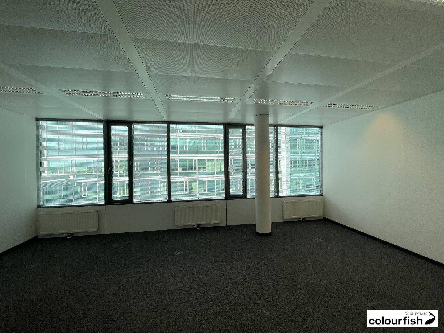 Leeres Büro mit dunklem Teppichboden, großen Fenstern und Blick auf andere moderne Gebäude.
