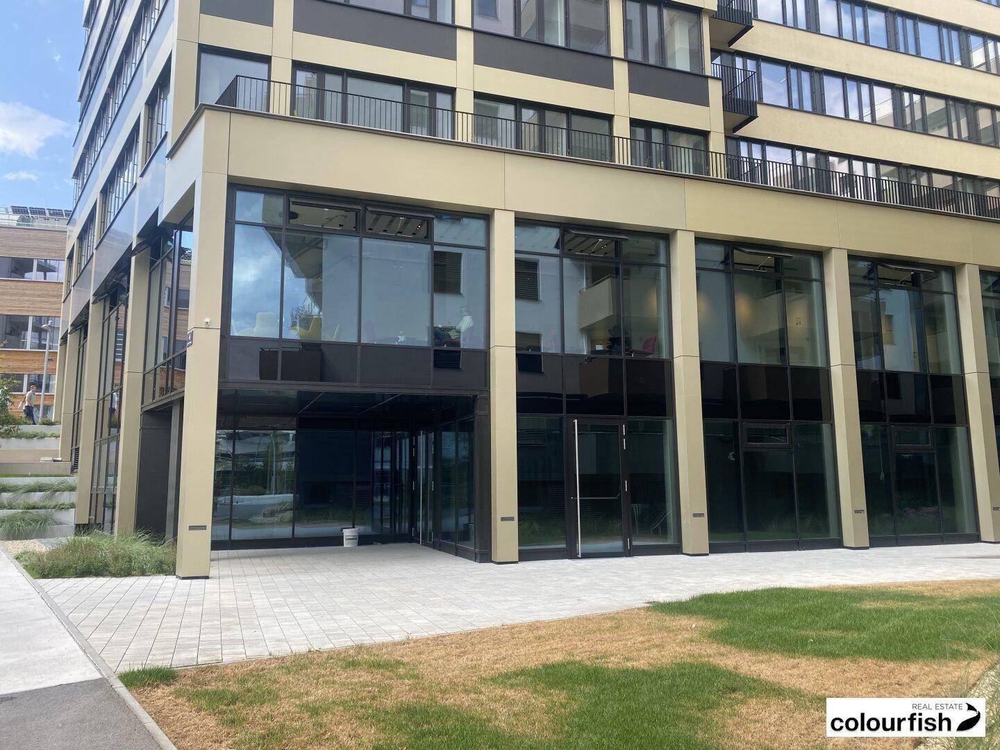 Eingangsbereich eines modernen Gebäudes mit großer Glasfassade und gepflastertem Gehweg.