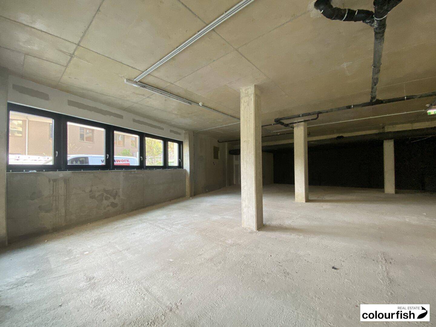 Großer, unfertiger Gewerberaum mit Betonboden, Säulen und großen Fenstern, ideal für individuelle Gestaltung.