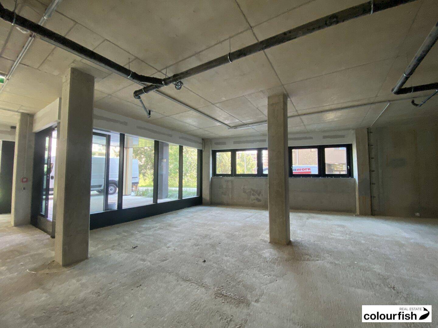 Heller Gewerberaum im Rohbau mit Betonstützen und durchgehender Fensterfront, bietet viel Tageslicht.