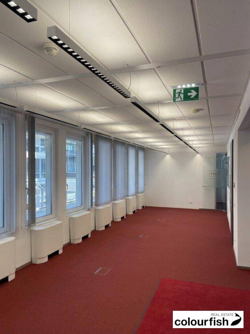 Leerer Büroraum mit rotem Teppichboden, großen Fenstern und Deckenbeleuchtung.