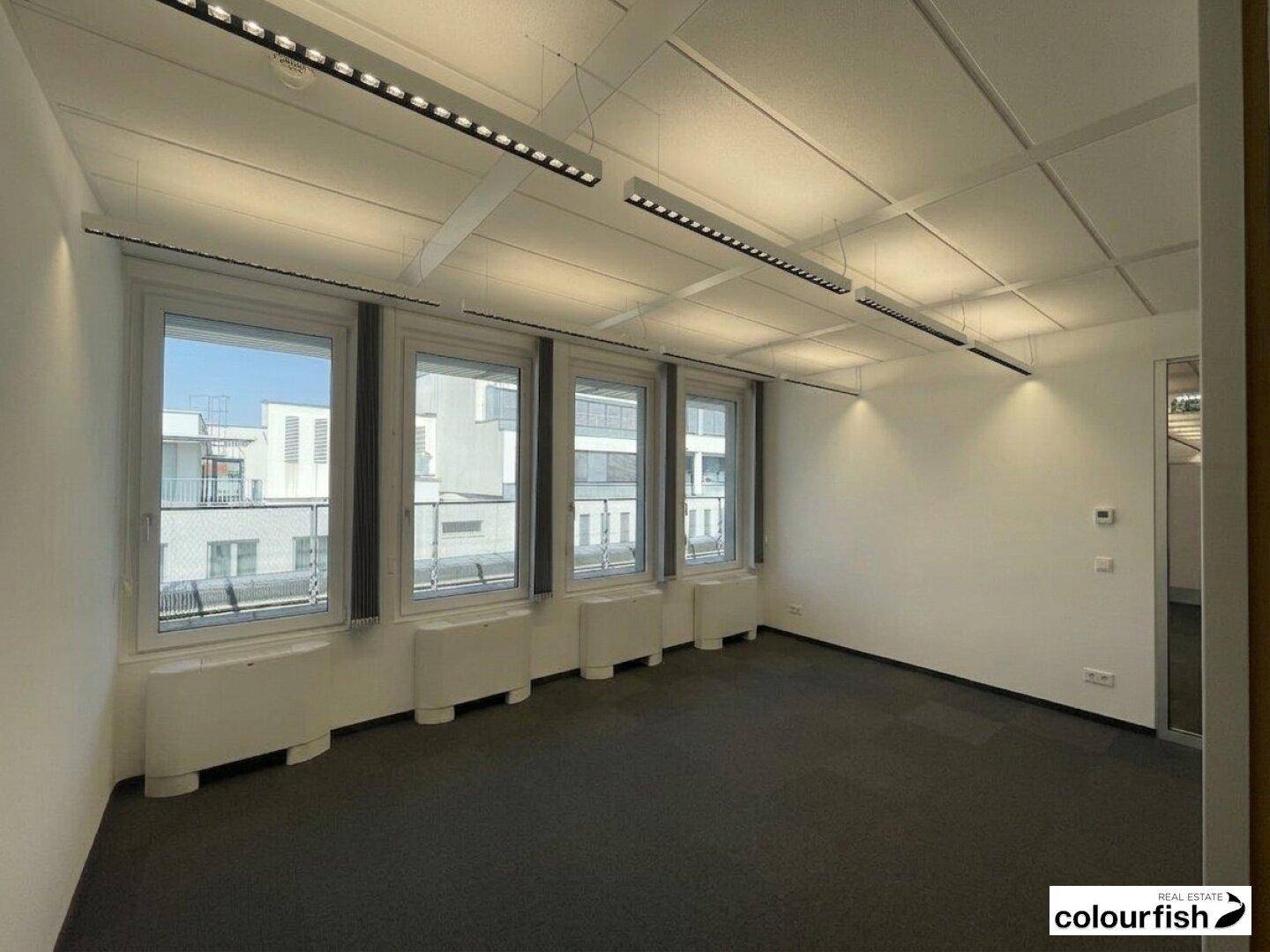 Heller Büroraum mit grauem Teppichboden, großen Fenstern und moderner Deckenbeleuchtung.