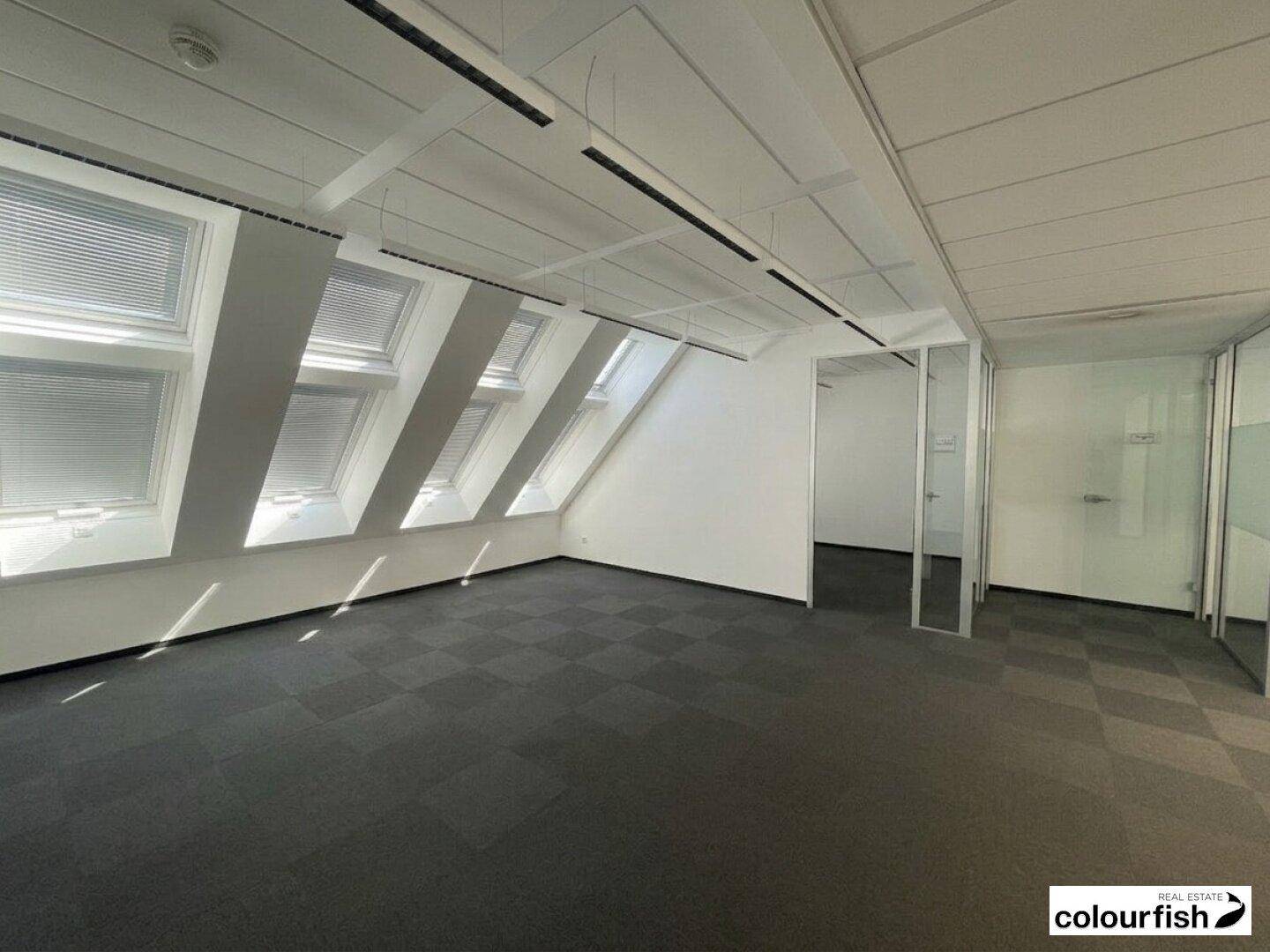 Heller Büroraum mit schrägen Dachfenstern, grauem Teppichboden und Glasabtrennungen.