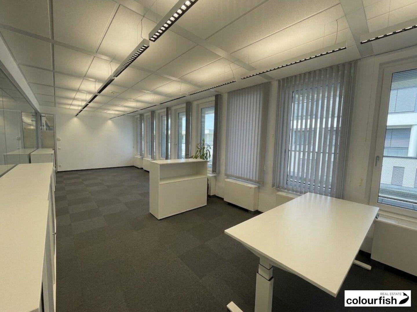 Moderner Büroraum mit grauem Teppichboden, großen Fenstern und flexiblen Arbeitsplätzen.