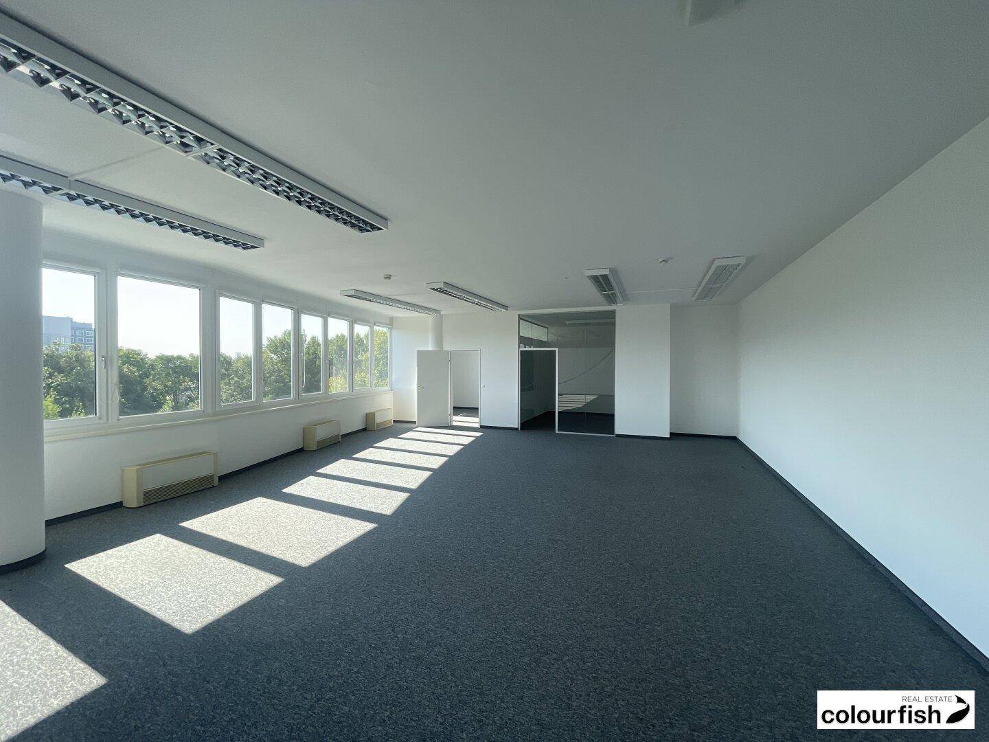 Geräumiger, leerer Büroraum mit grauem Teppichboden, weißen Wänden und großen Fenstern mit Blick ins Grüne.