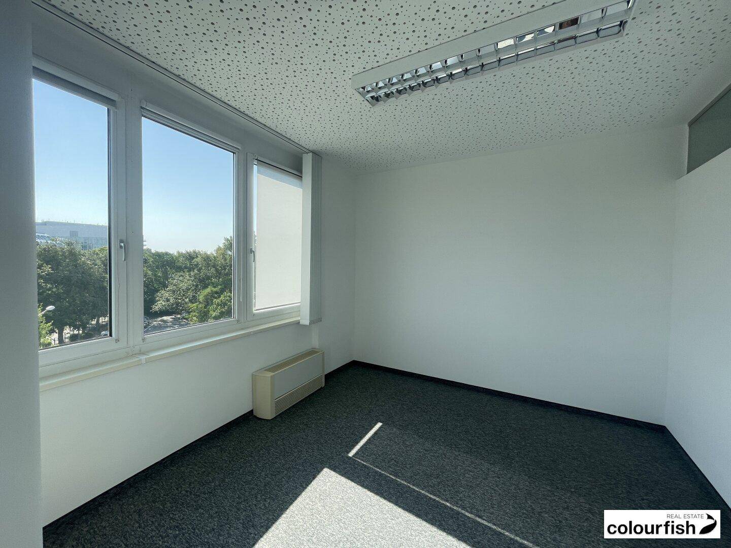 Kleineres, leeres Büro mit grauem Teppichboden, weißen Wänden und einem Fenster mit Blick ins Grüne.