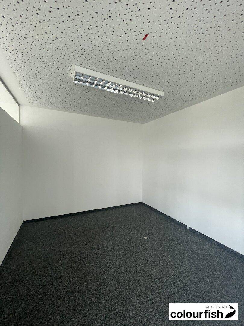 Leerer Büroraum mit grauem Teppichboden, weißen Wänden und einer Decke mit Akustikplatten.