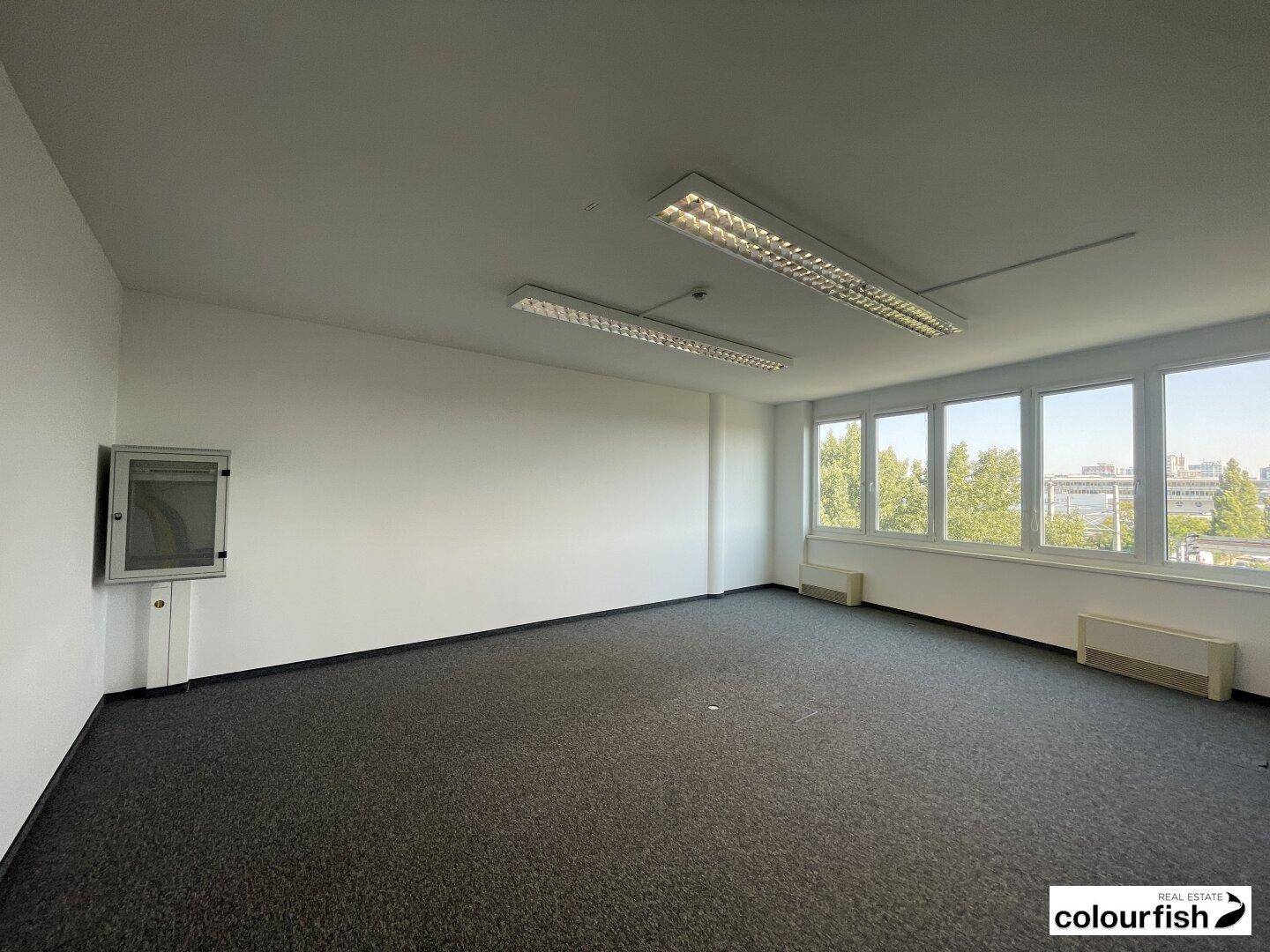 Großer, leerer Büroraum mit grauem Teppichboden, weißen Wänden und Fenstern mit Blick ins Grüne.