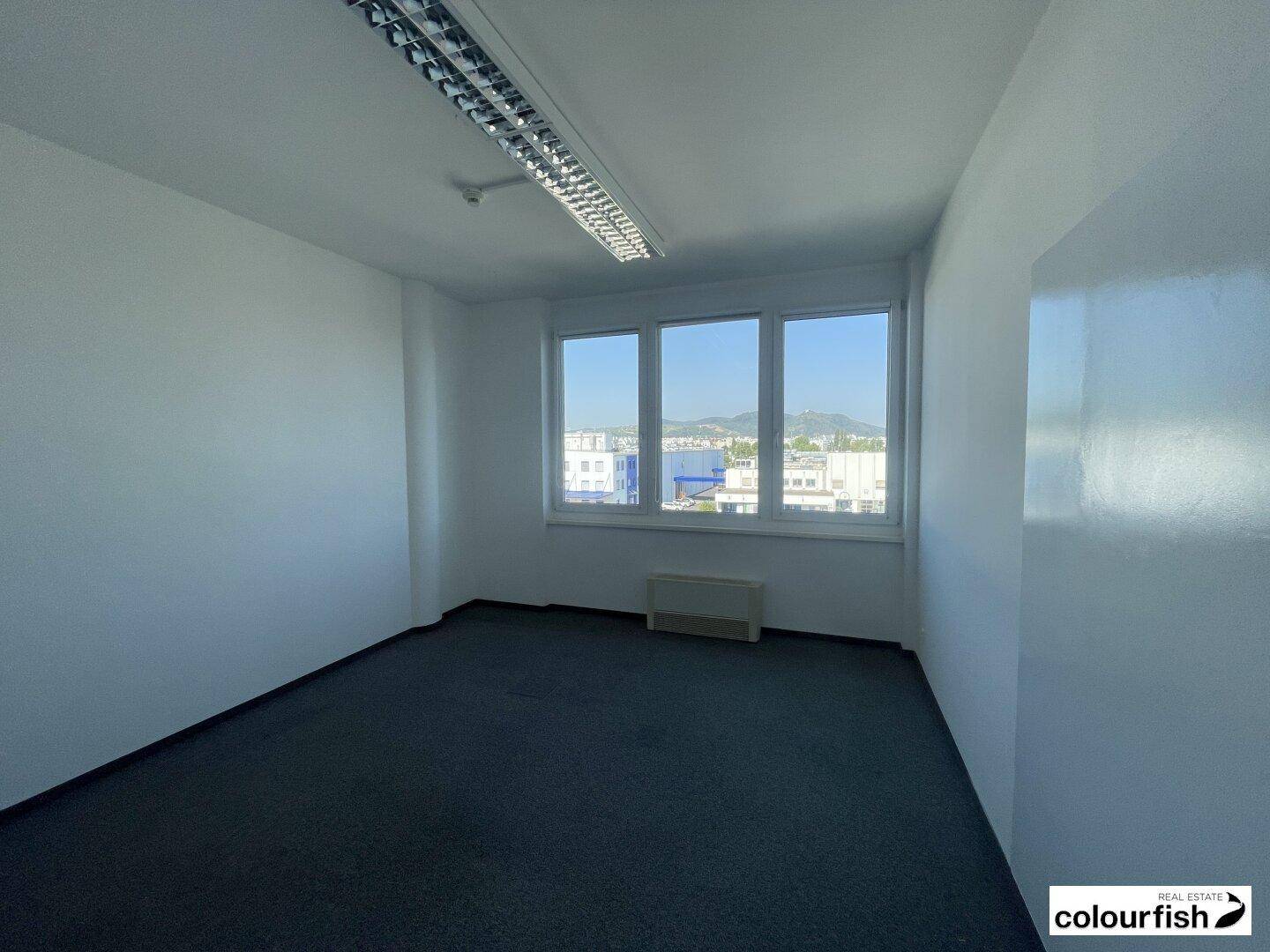 Kleinerer Büroraum mit Teppichboden, hellen Wänden und Fensterblick auf die Umgebung.