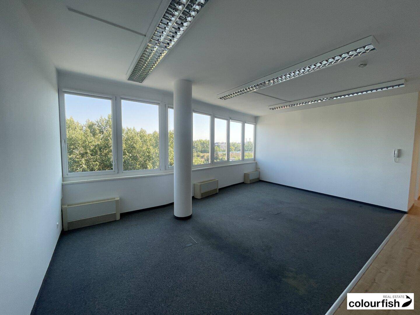 Geräumiger Büroraum mit Teppichboden, Säule und Fensterfront mit Blick ins Grüne.