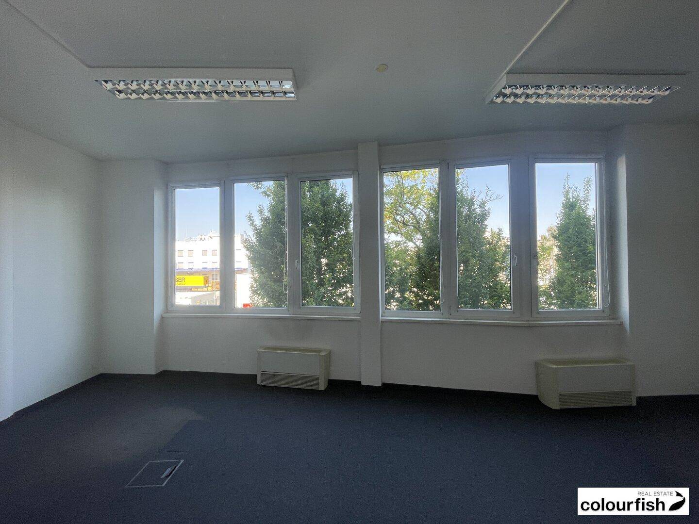 Geräumiger Büroraum mit großer Fensterfront, Blick ins Grüne und dunklem Teppichboden, sehr hell.