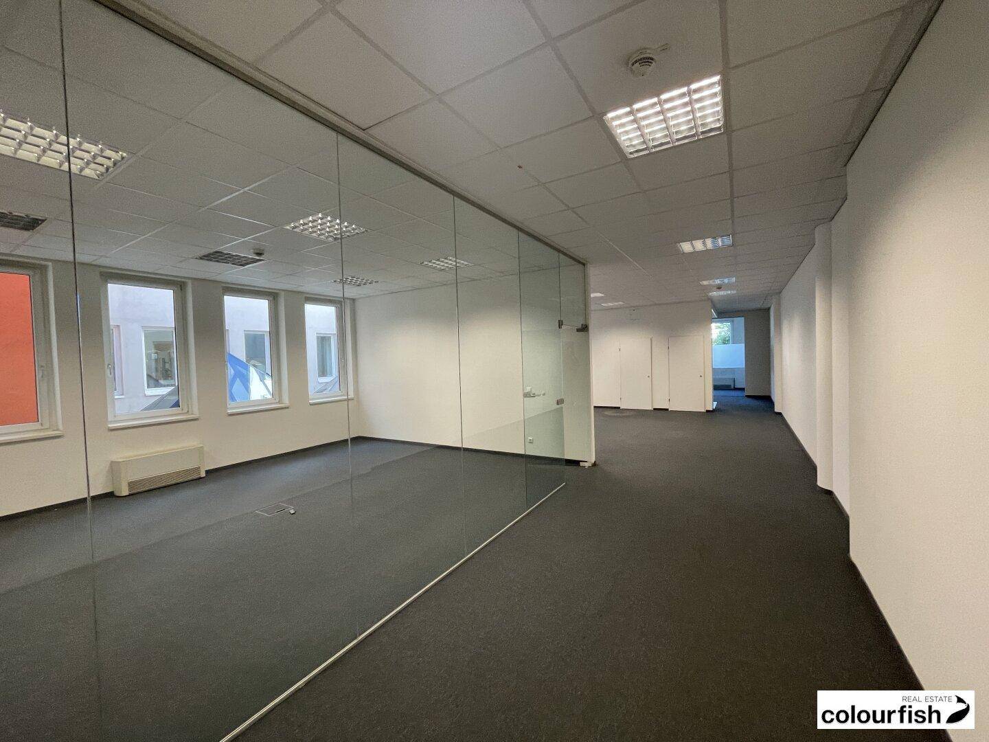 Langer Bürobereich mit dunklem Teppichboden, weißen Wänden und durchgehender Glastrennwand für offene Gestaltung.