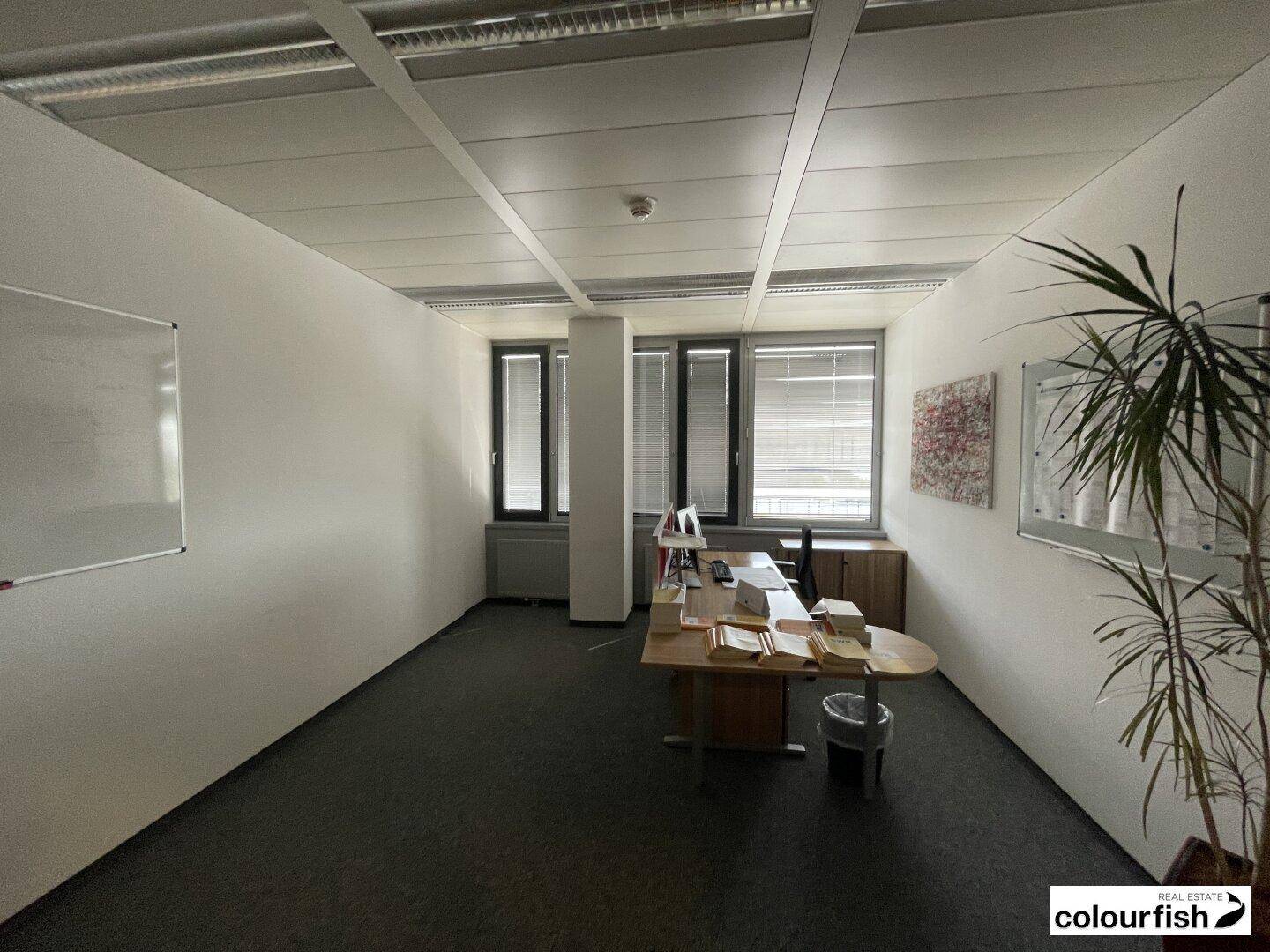 Geräumiges Büro mit dunklem Teppichboden, weißen Wänden und einem Arbeitsbereich im Hintergrund.