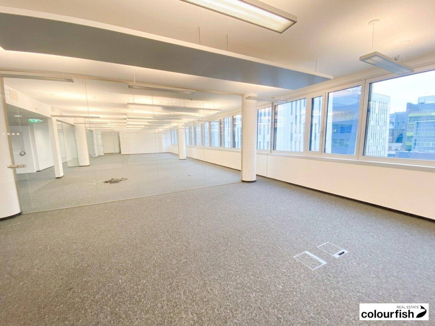 Großes, offenes Büro mit durchgehender Fensterfront, Säulen und Teppichboden, bietet viel Tageslicht.