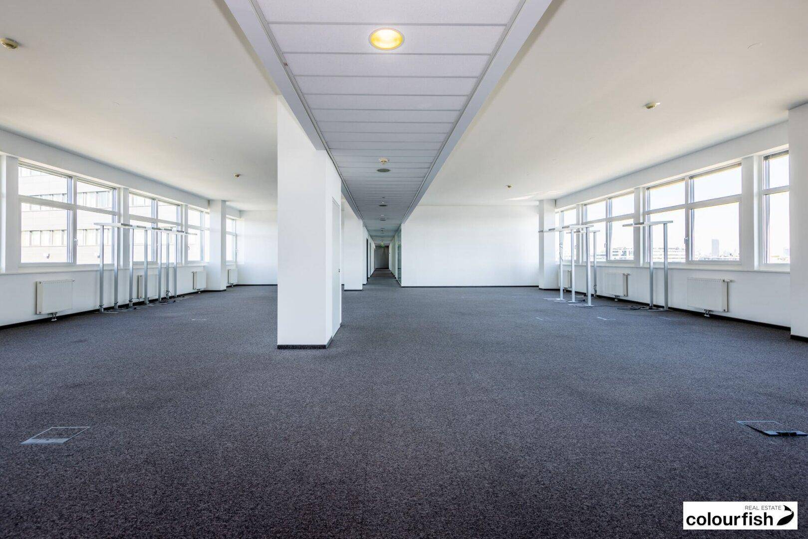 Weitläufiger Großraumbüro mit Teppichboden, vielen Fenstern und heller Deckenbeleuchtung.