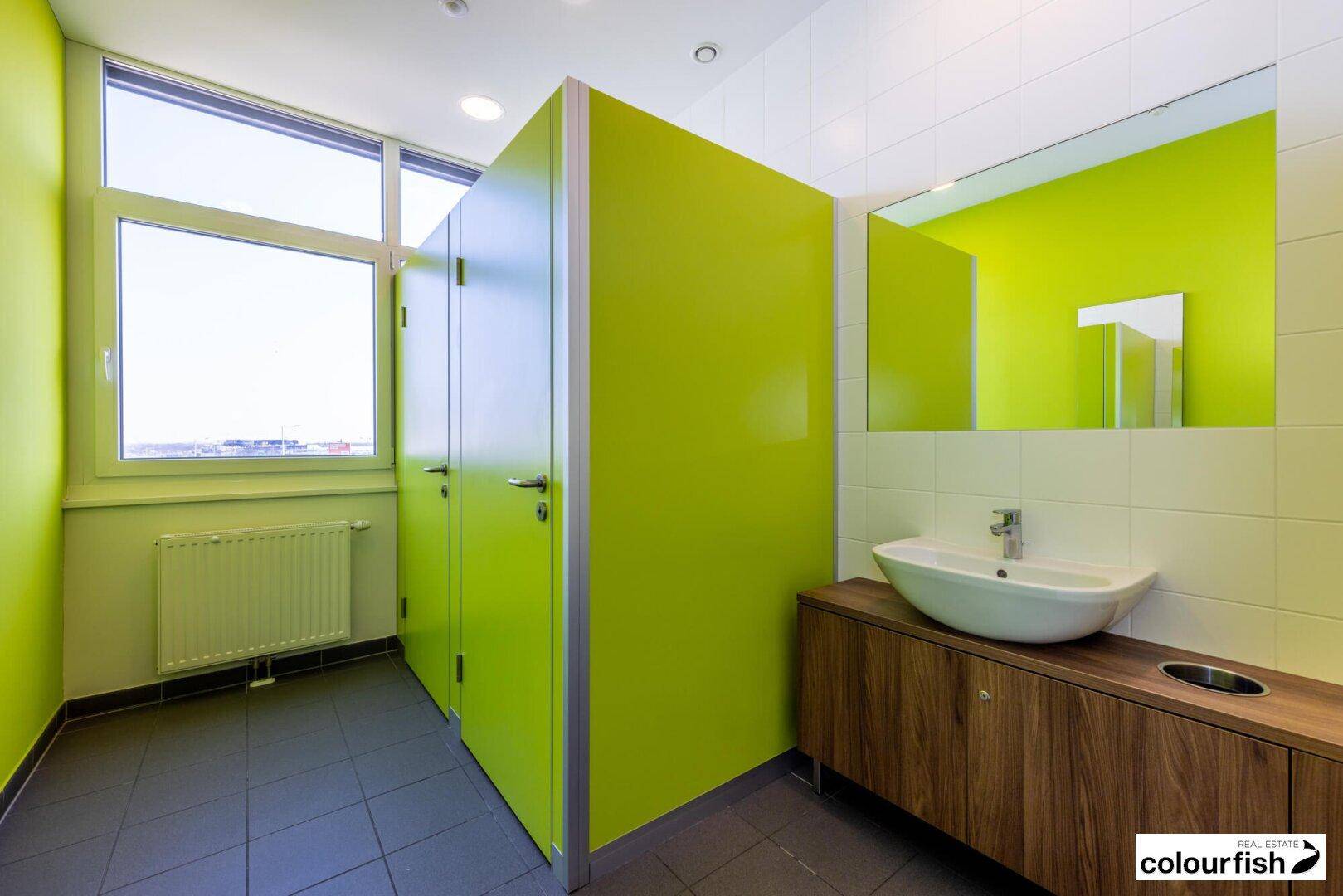 Helle Toilettenanlage mit leuchtend grünen Trennwänden, Fenster und einem Waschbecken auf Holzunterschrank.