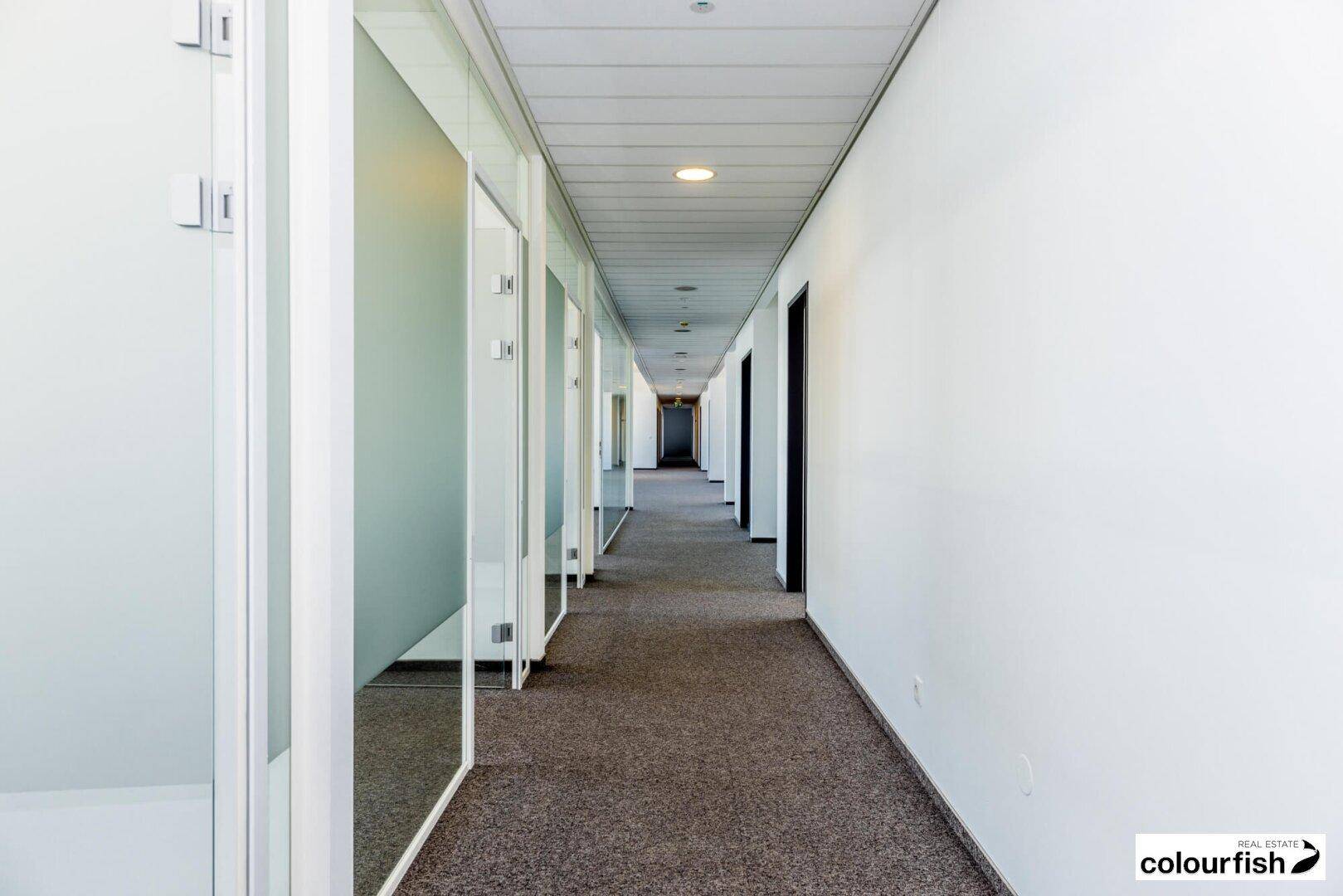Langer Bürogang mit Teppichboden, weißen Wänden und Glastüren zu den einzelnen Büroeinheiten.