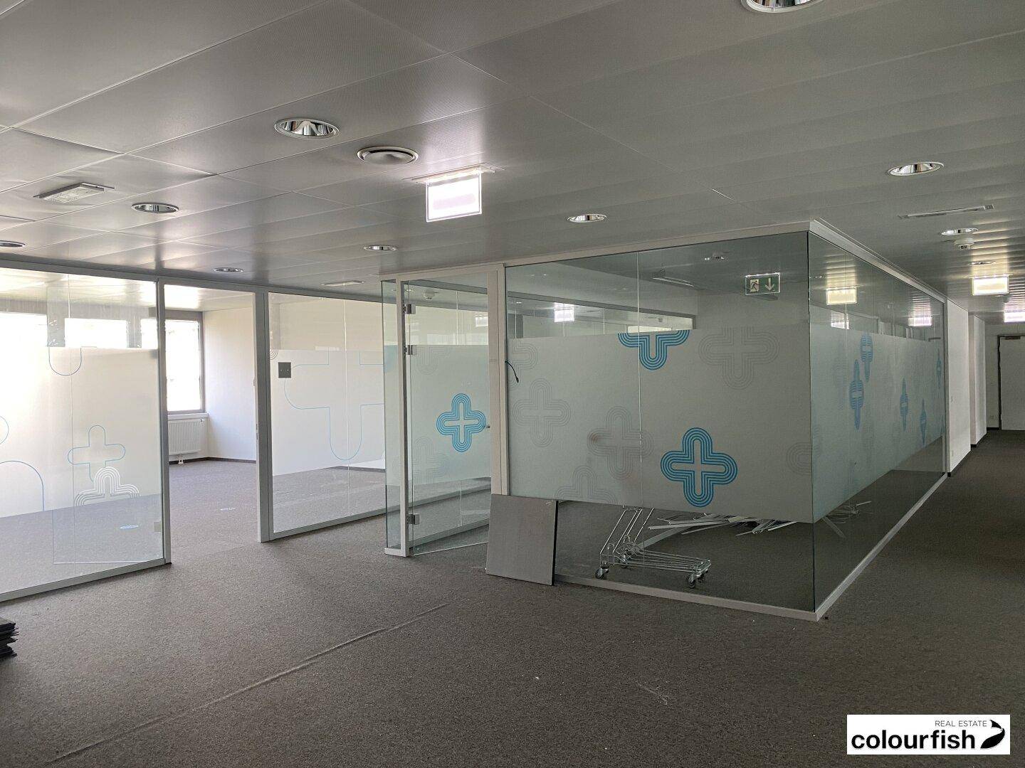 Offener Bürobereich mit Glaswänden, Teppichboden und viel Tageslicht, ideal für moderne Arbeitskonzepte.