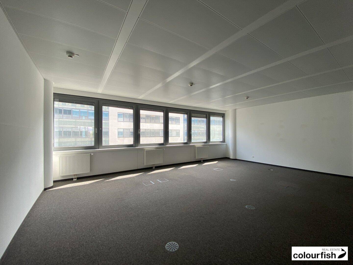 Geräumiger, leerer Büroraum mit Teppichboden und großen Fenstern, die viel Tageslicht hereinlassen.