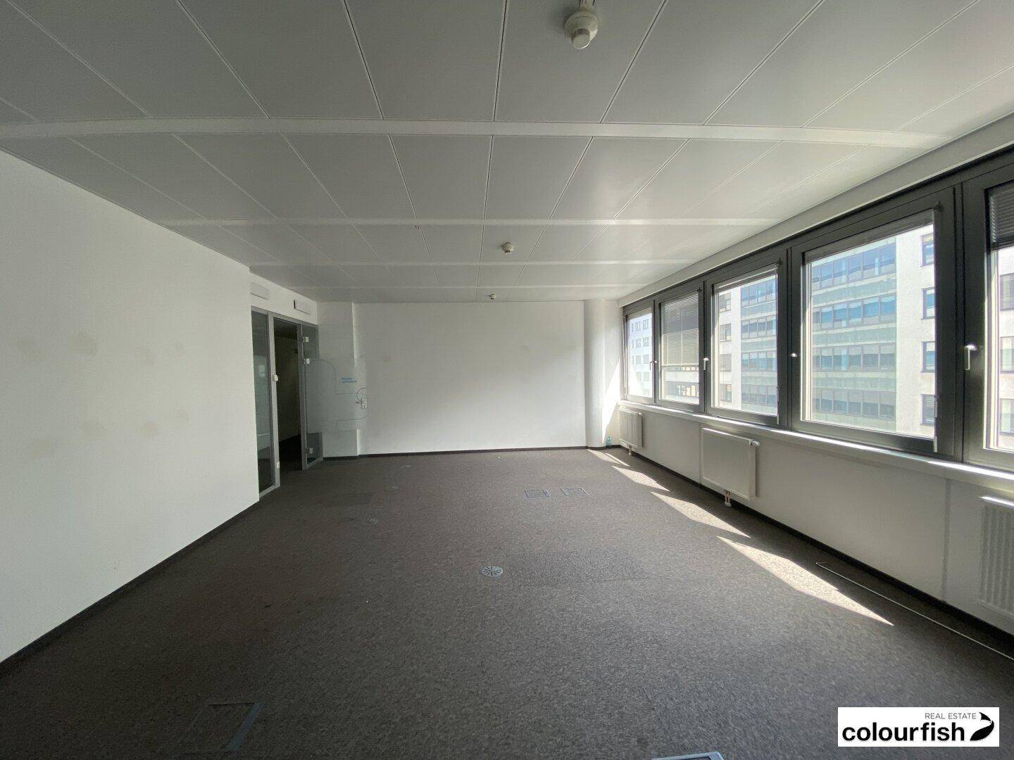 Weitläufiger Büroraum mit Teppichboden und durchgehenden Fenstern, die eine helle Arbeitsumgebung schaffen.