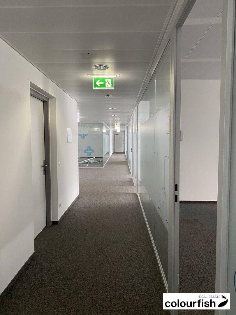 Langer Bürogang mit Teppichboden, weißen Wänden und Glastüren, die zu den Büros führen.