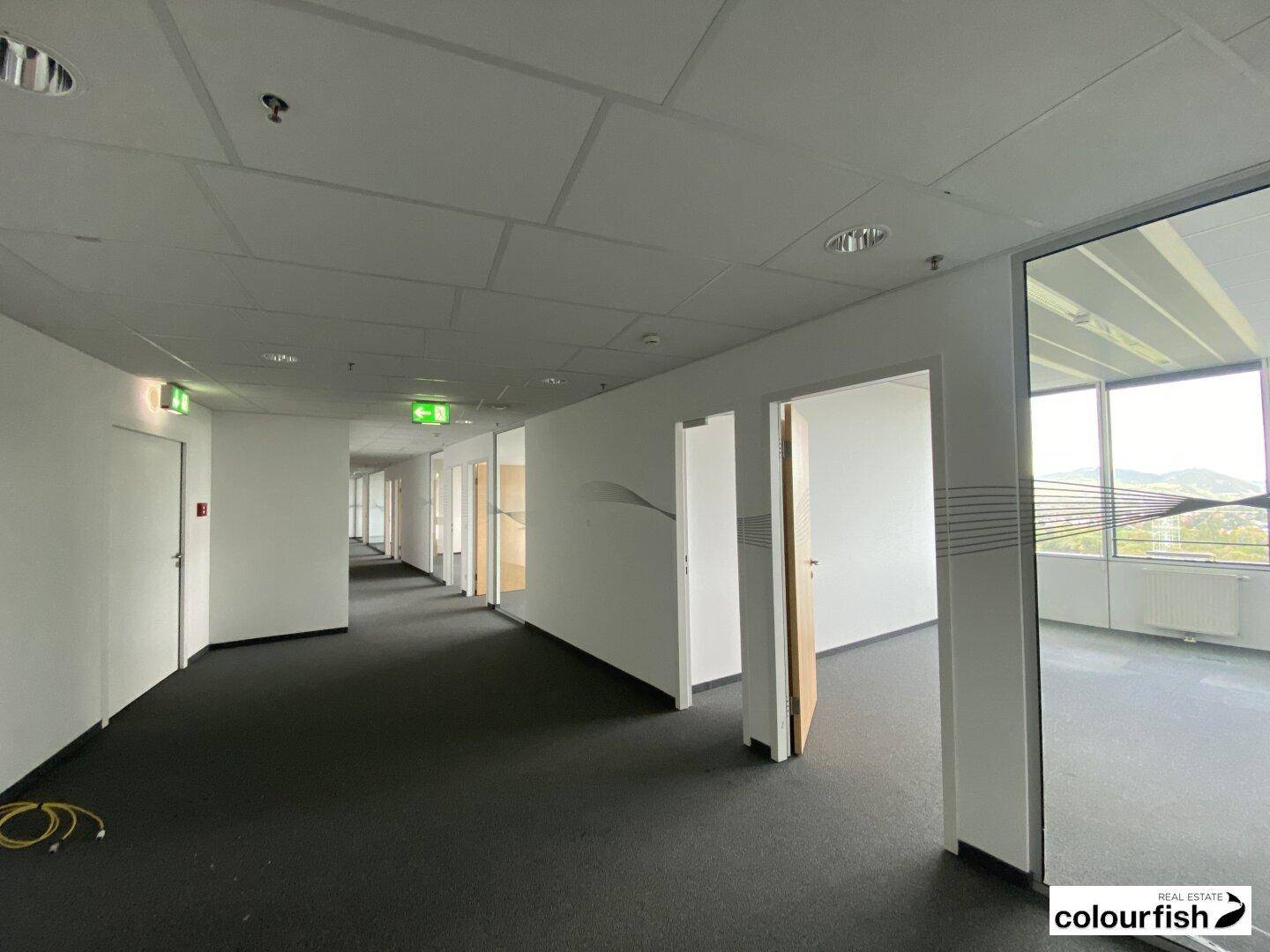Langer Bürogang mit Teppichboden und Türen zu verschiedenen Büroräumen, hell beleuchtet.