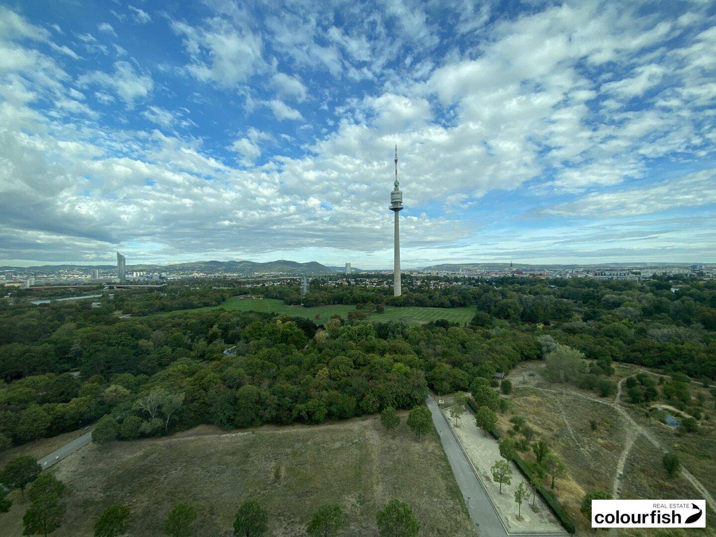 Panoramablick über eine grüne Landschaft mit einem markanten Fernsehturm unter blauem Himmel.