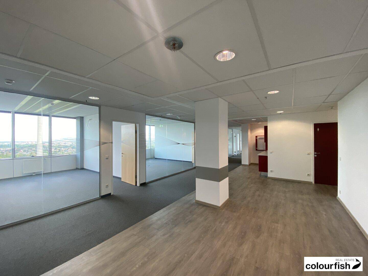 Moderner Bürobereich mit Teppich- und Holzboden, Glaswänden und viel Tageslicht.