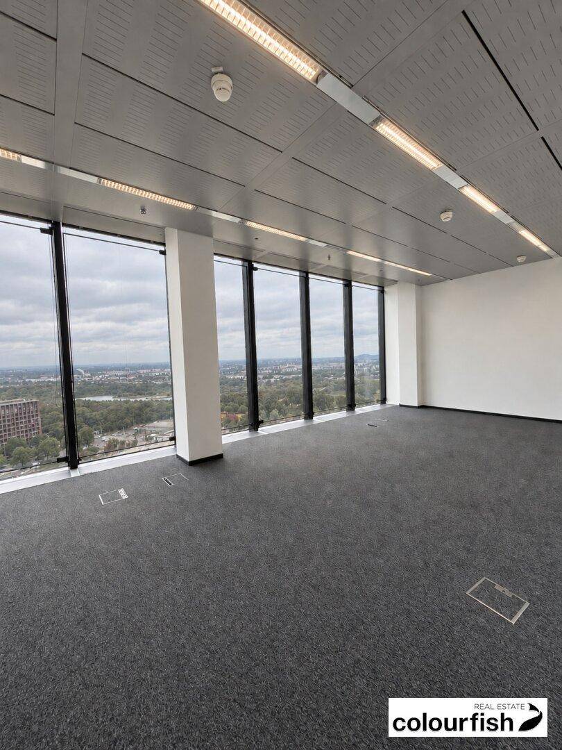 Leerer Büroraum mit Teppichboden und raumhohen Fenstern, die eine weite Aussicht ermöglichen.