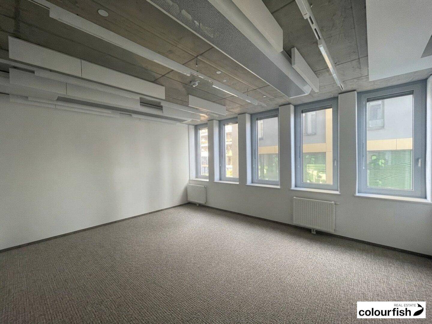 Helles Büro mit Teppichboden, großen Fenstern und einer modernen Betondecke, bereit zur individuellen Gestaltung.
