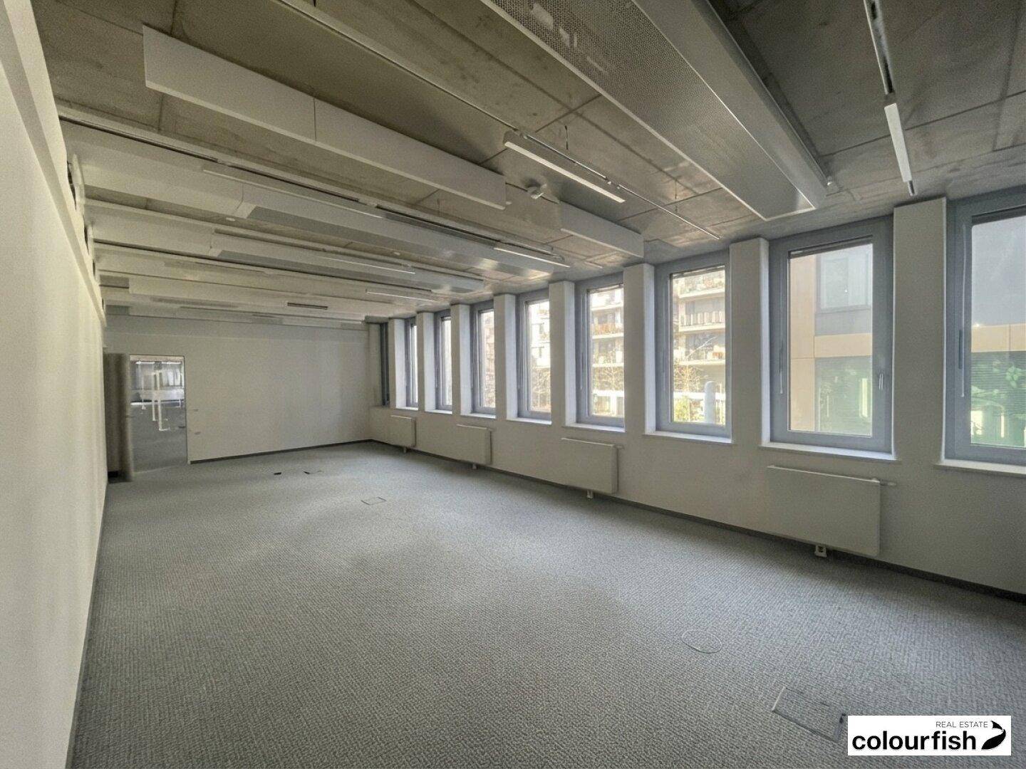 Geräumiges Büro mit Teppichboden, vielen Fenstern und sichtbarer Betondecke, ideal für Großraumbüros.