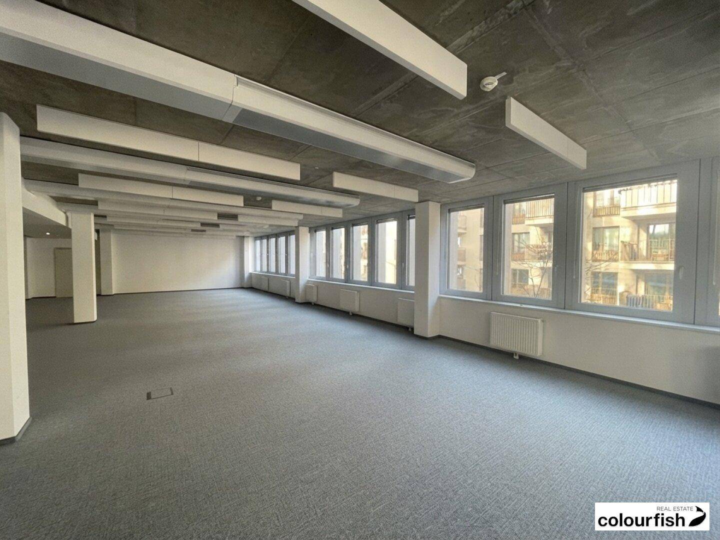 Weitläufiges Büro mit Teppichboden, vielen Fenstern und einer modernen Betondecke, ideal für flexible Arbeitsbereiche.