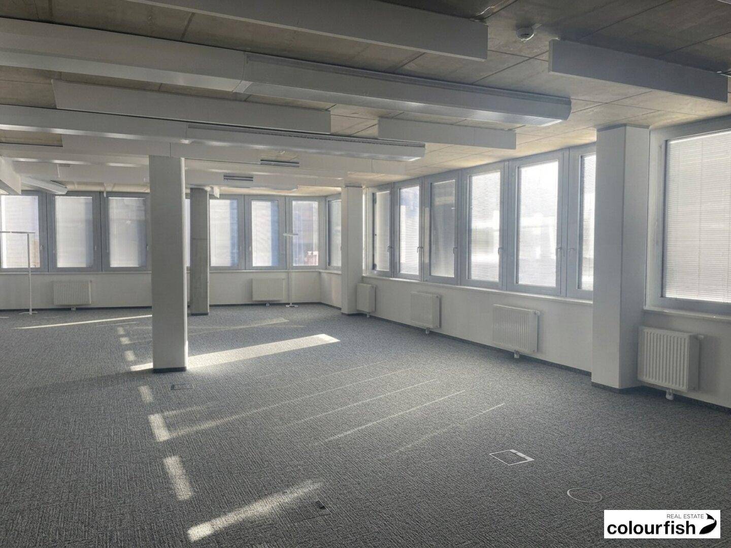 Großes Büro mit Teppichboden, vielen Fenstern und natürlichem Lichteinfall, bereit für die Büroeinrichtung.