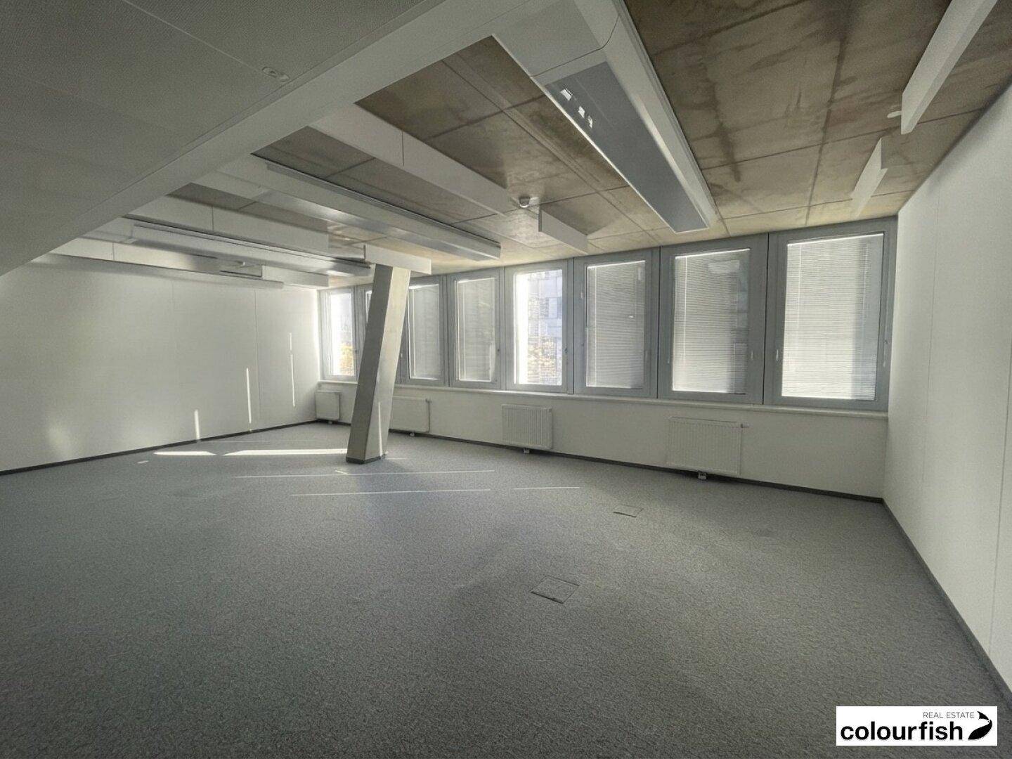 Heller Büroraum mit Teppichboden, großen Fenstern und einer sichtbaren Betondecke, bietet viel Tageslicht.