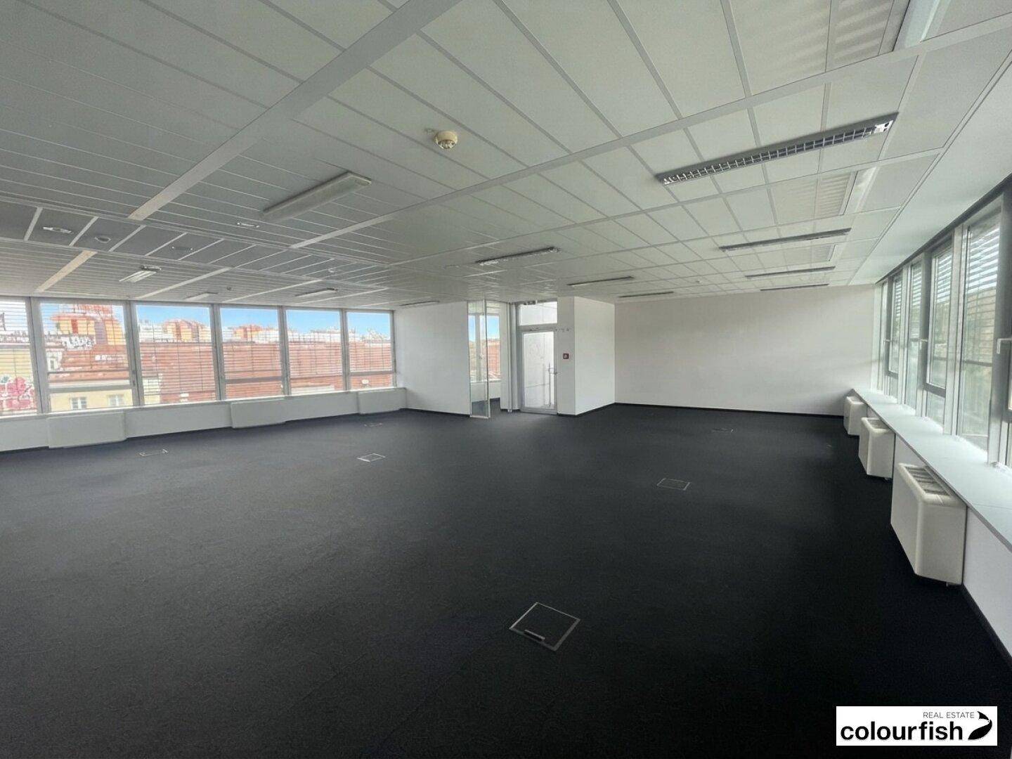 Geräumiger, leerer Büroraum mit dunklem Teppichboden, großen Fenstern und einer abgehängten Decke.