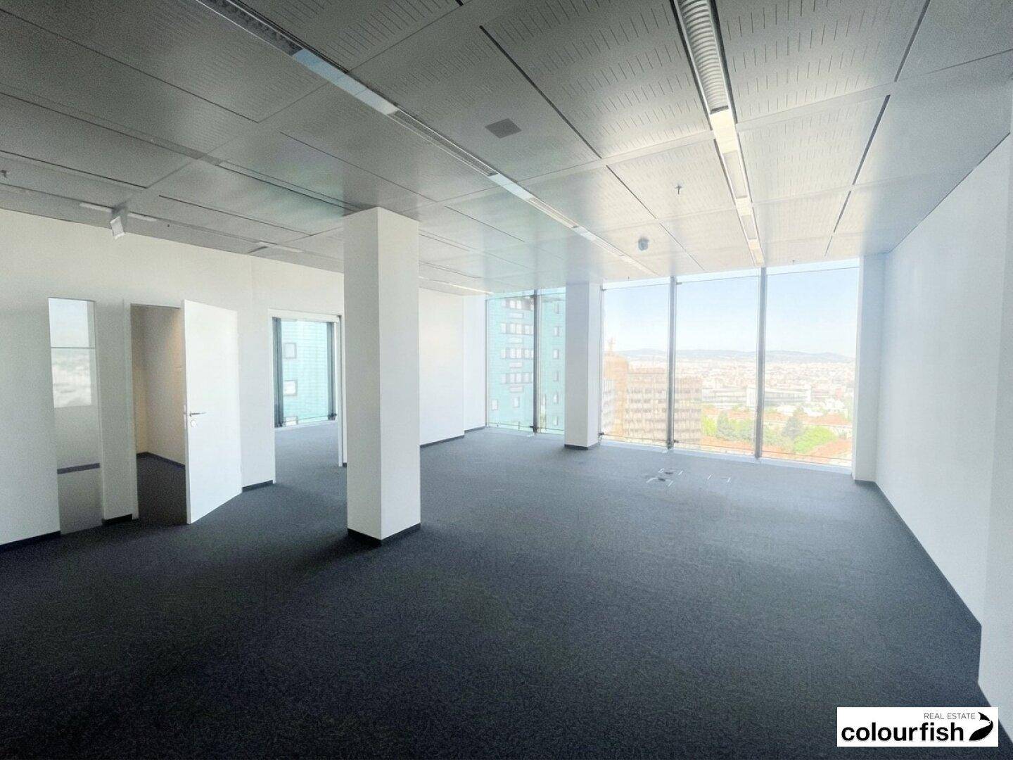 Geräumiger, leerer Bürobereich mit Teppichboden und weißen Wänden, bereit für die individuelle Gestaltung.