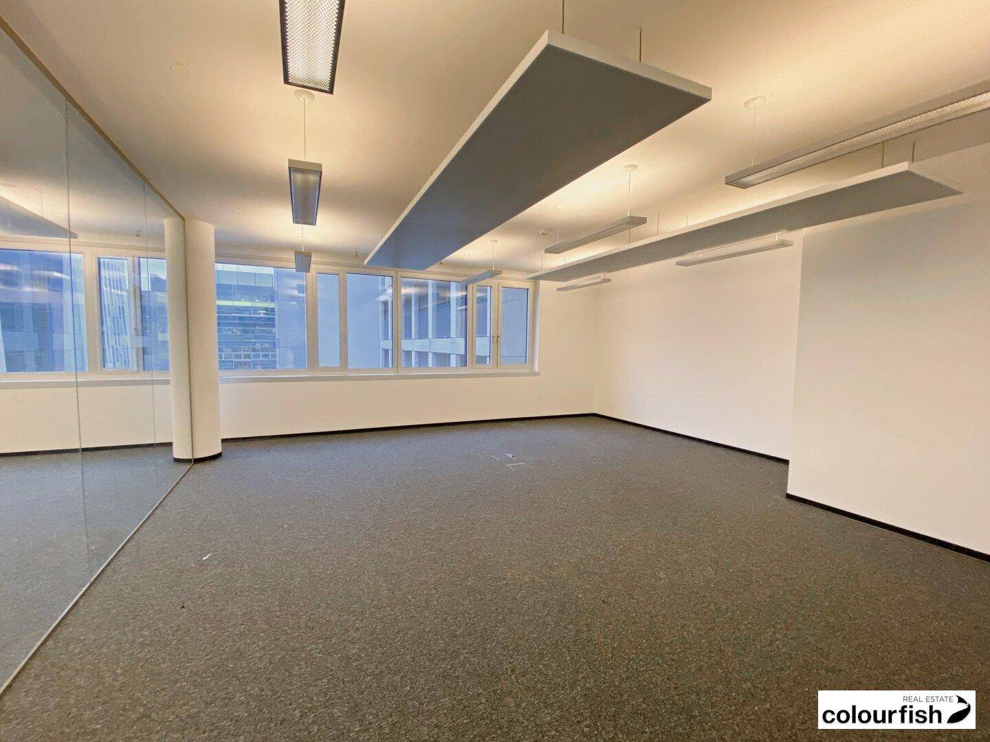 Modernes Büro mit Teppichboden, großen Fenstern und schallabsorbierenden Deckenpaneelen.