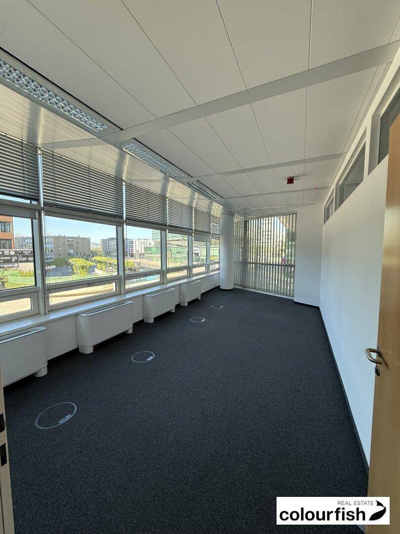 Leeres Büro mit dunklem Teppichboden, weißen Wänden und großen Fenstern mit Jalousien.